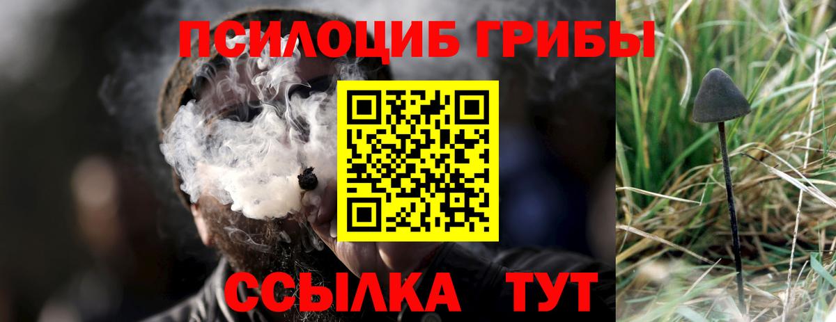 Галлюциногенные грибы Psilocybine cubensis Знаменск