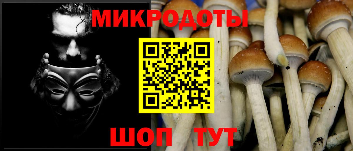 Знаменск  Псилоцибиновые грибы мицелий  Вход с VPN 