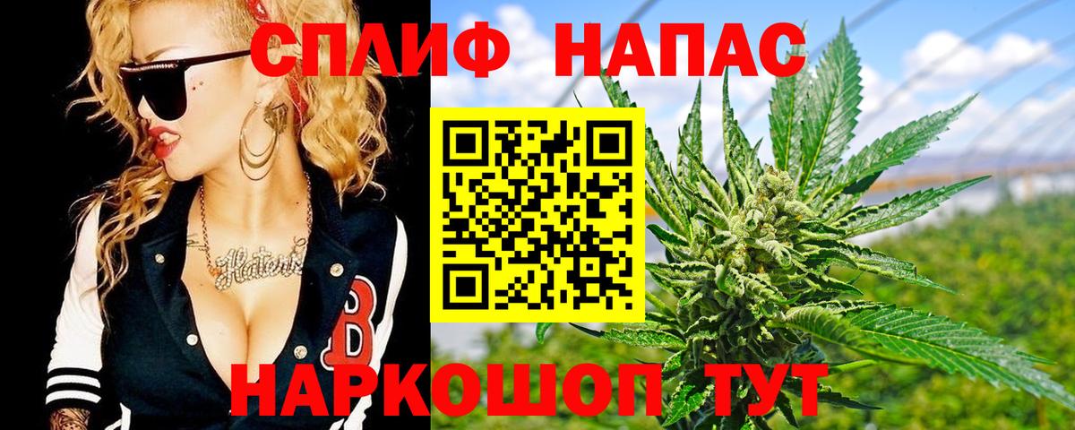 Конопля планчик Знаменск